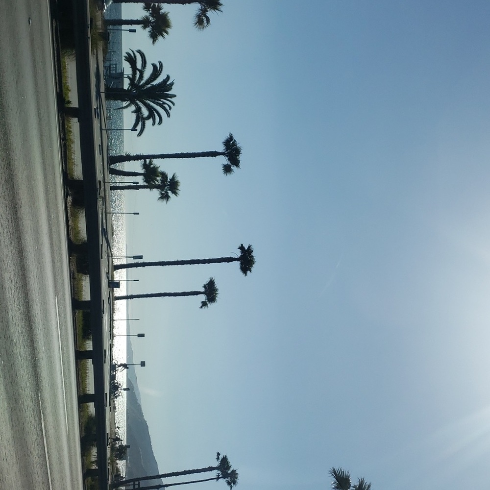 Meet your Posher, Icela